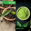 MAEDA-EN Té Verde Sen-Cha Con Matcha (100 Bolsitas) En Polvo,