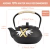 Cast Iron Teapot,SECHUDO Tea Kettle,Japanese Cast Iron Teapot with Stainless