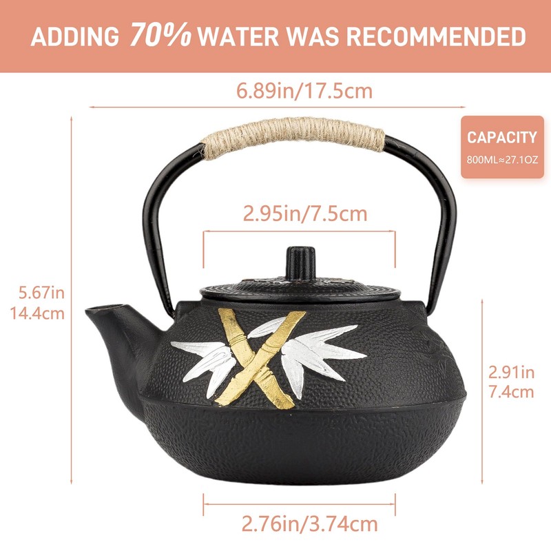 Cast Iron Teapot,SECHUDO Tea Kettle,Japanese Cast Iron Teapot with Stainless