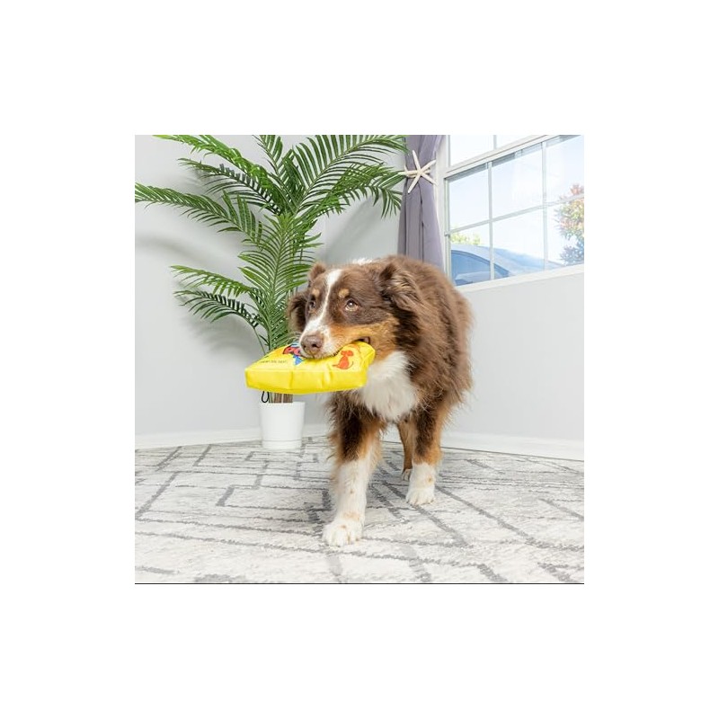 SPOT Fun Candy - Whimsical Funny Dog Squeak Toy -