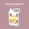Bossen Concentrated Syrup_5.5 lb (Passion Fruit)