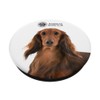 AKC Longhaired Dachshund Photo PopSocket