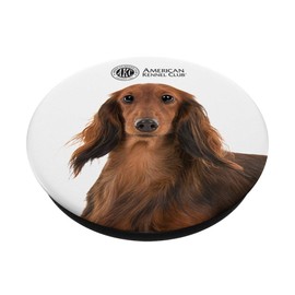 AKC Longhaired Dachshund Photo PopSocket
