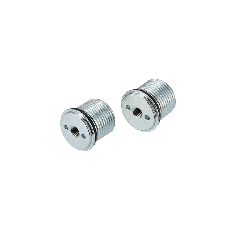 Set of 2 Threaded Plugs with O-Ring SWH Fork