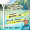 Daiya Golf (DAIYA GOLF) Repro Tee with Step, Long, Blue