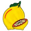 Lemon Yellow Iron-On or Sew On Patch for Clothes Embroidered