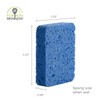 Fox Run Blue Dish Sponges, Set of 12 Scratch Free