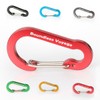 Boundless Voyage Carabiner with Storage Bag, Red, Set of 20