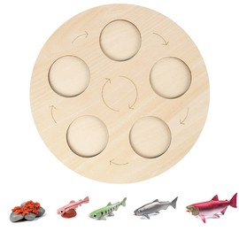 Life Cycle Models, Simulation Animal Growth Cycle Model with Wood Life Cycle Board Animal Figures Toy Biology Science Model Growth Stage Model Gifts for Children Boys Girls