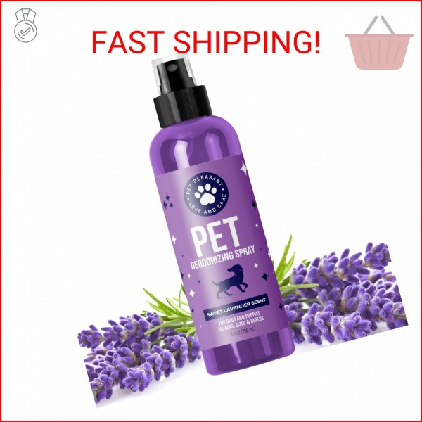HONEYDEW Lavender Oil Dog Deodorizing Spray - Dog Spray for