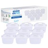 GOLDEN ICEPURE TÜV SÜD Certified Water Filter Replacement for Brita