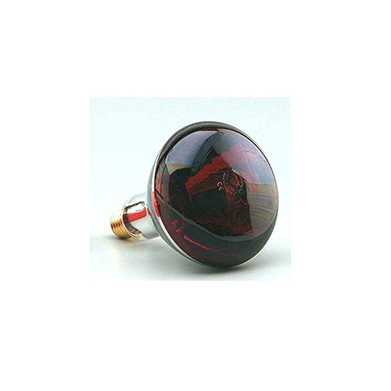 F BRIGHT Infrared Lamp E27 250 W Red 12.5 cm