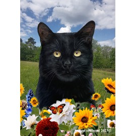 Shorthair Black Cat - Best of Breed Spring Flowers Garden Flag