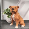 Vivid Arts - Staffordshire Terrier Brindle - XRL-STF4-D