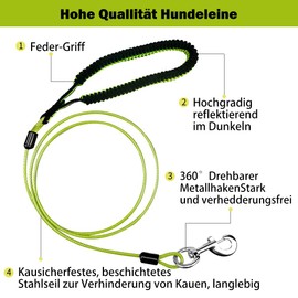 Mi Metty Dog Lead 5 ft Lead for Dogs, Chew-proof Dog Leads, Chain Lead for Medium to Large Dogs (Green, 5 ft/1.5 m)