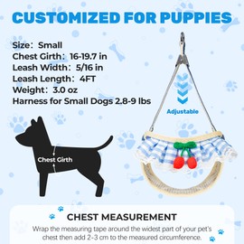 Jestrem No Pull Small Dog Harness and Leash Set