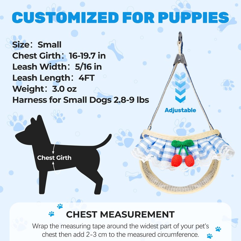 Jestrem No Pull Small Dog Harness and Leash Set