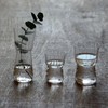 Kimura Glass Shop Molle Glass L [HD3266]
