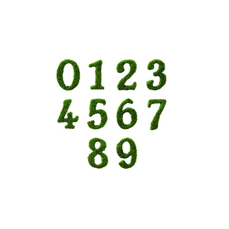 Lillian Rose Green Décor Moss Monogram Number 8 Wedding Table