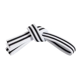 Mastery Little Dragons (White belt/double Black stripe, 0)