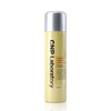 Cha & Park Propolis Ampoule Mist 100ml / 차앤박 프로폴리스