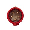 Legrand 555239 Mobile Plug Straight P17 IP44 32 A, 380