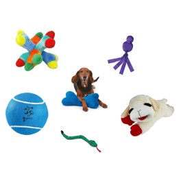 PUREPET Big Dog Toy Bundles Large Breed Squeak Play Toss Tug Cuddle Chew Bulk Packs (1 Big Dog Toy Pack)