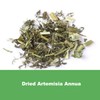 Natural Artemisia Annua, Dried Sweet Wormwood, Herbal Loose Leaves (4.0