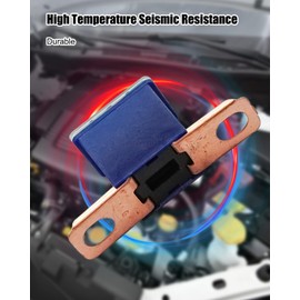 OCHIKI 100 Amp Multi Purpose Fuse, Bolt On Cartridge Fuse Replace 927-0100 82211FC100 38218SM4003 FLD-100 PAL4100BP, 100A Black