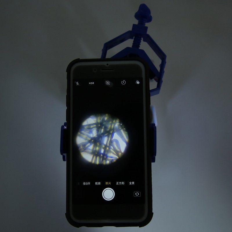 Children Monocular Microscope 1200X Magnification Science Kits Educational Accessory L