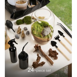 Terrarium Kit with Grow Light – 24-Piece DIY Glass Terrarium Set with Tools, Moss, Driftwood, Soil & Pebbles – Mini Gardening Kit for Air Plants, Succulents & Indoor Desk Decoration Gift