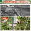 Qualirey 6 Pcs Metal Squirrel Baffle Squirrel Proof Spring for