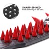 Beirui Heavy Duty Spiked Dog Collar - Stylish PU Leather