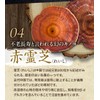 [和漢二千年の叡智 厳選素材配合] 養生源 120粒入り 1ヶ月分 サプリ 高麗人参 霊芝 田七人参 黒高麗人参