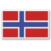 2 x 10cm/100mm Norway Flag Window Cling Sticker Car Van