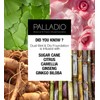 Palladio Herbal Dual Wet & Dry Foundation Toasted Almond 8