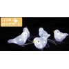 LED Crystal Motif WG-7330 5 Row Little Bird