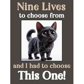 Black Cat Kitten funny flexible fridge magnet gift