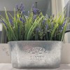 Haute Decor 10 Inch Lavender in Galvanized Metal Pot