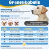 Kiiwah Dog Muzzle, Breathable Muzzle for Medium Dogs with Mesh