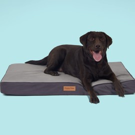 PUPPY PAW Orthopedic Memory Foam Dog Bed for Extra Large Dogs, Waterproof Lining and Non-Slip Bottom, Removable and Machine Washable Cover (41" x 29", Up to 100LBs)