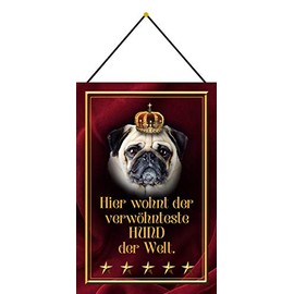 Blechschild With cord 30 x 20 cm Here lives the most pampered dogs in the world. - Blechemma