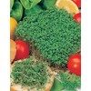 Mr Fothergill's 18292 Vegetable Seeds, CRESS Fine Curled