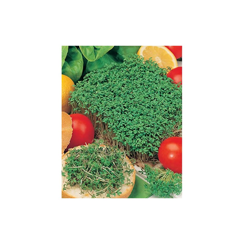 Mr Fothergill's 18292 Vegetable Seeds, CRESS Fine Curled