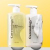 Carenology 케어놀로지 레미디 밀도 볼륨 탈모완화 /카페인/비오틴/엑토인 샴푸500ml 2개