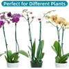 Plant Clips,100pcs Orchid Clips Plastic Plant Climbing Wall Fixture Clips,