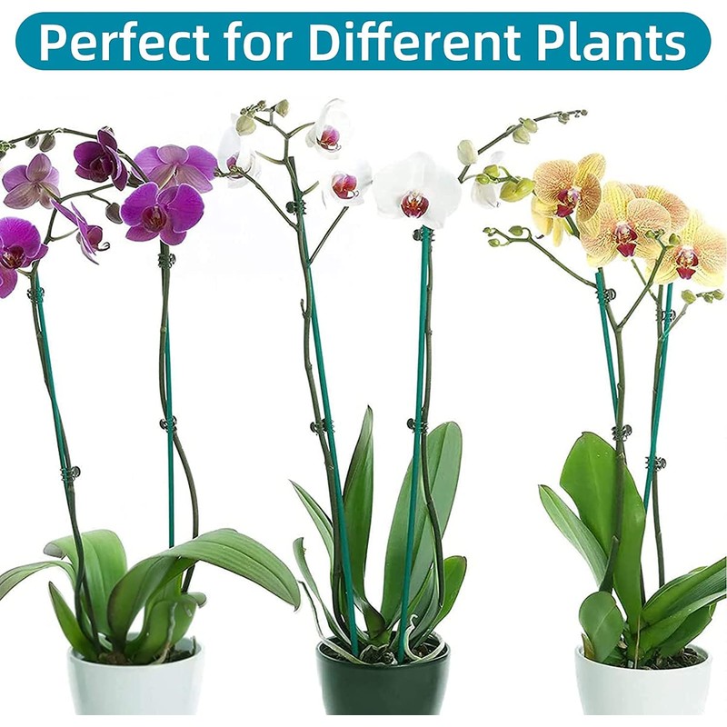 Plant Clips,100pcs Orchid Clips Plastic Plant Climbing Wall Fixture Clips,
