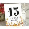 Darling Souvenir, otoño Tema 1 - 12 Tarjetas números Descenso