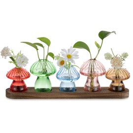 Glasseam Mushroom Plant Propagation Stations: Glass Plant Terrarium Jar with Wood Stand Unique Hydroponic Planters for Indoor Plants Cute Propagation Vase for Plant Lovers Home Office Decor 5Pcs