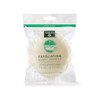 Pack of 1 x Earth Therapeutics Exfoliating Body Sponge -